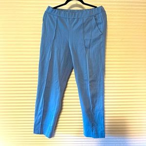 EUC J. Crew Light Blue Pull On Ankle Pants Medium